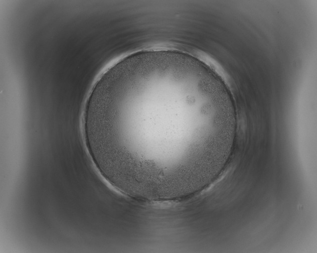 X0000112181429200908141317