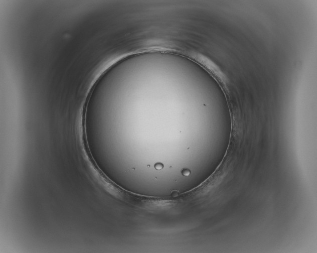 X0000112181431200908141317