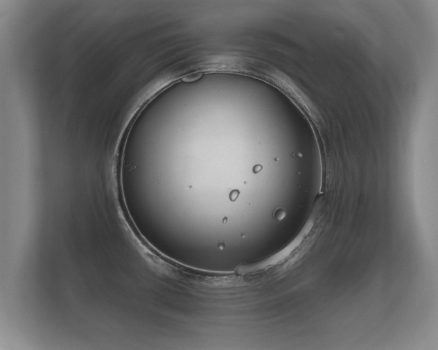 X0000112181434200908141317