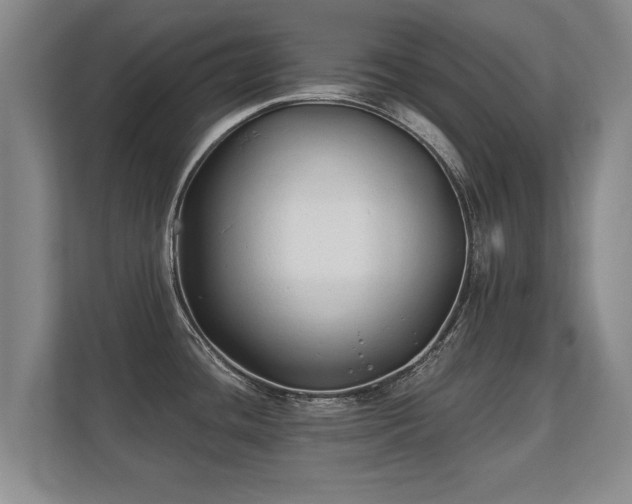 X0000112181436200908141317