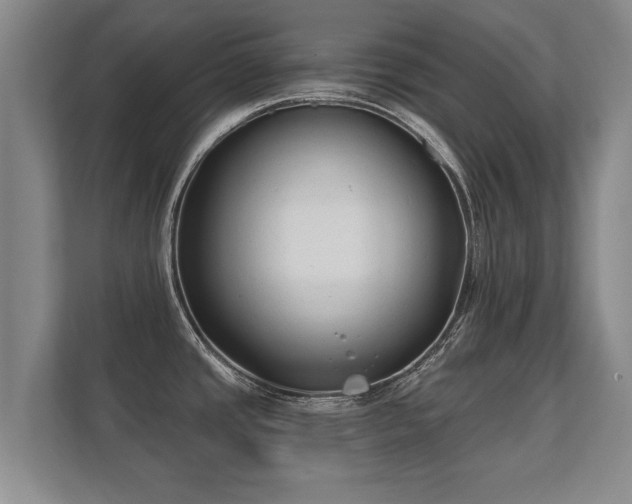 X0000112181437200908141317