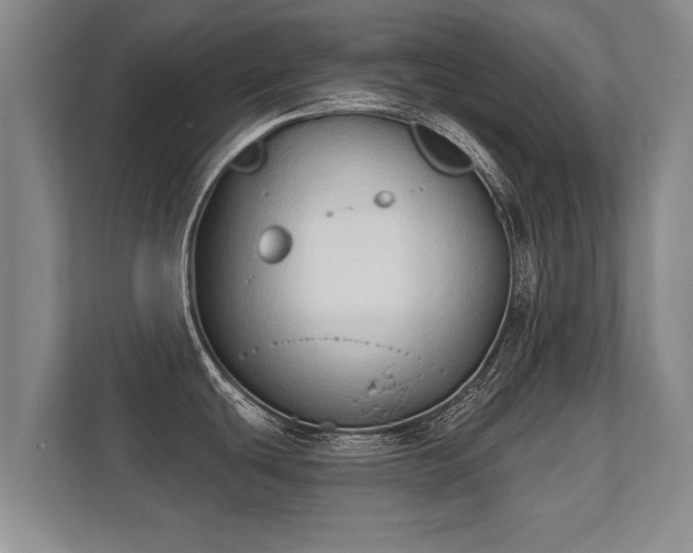 X0000112181439200908141317