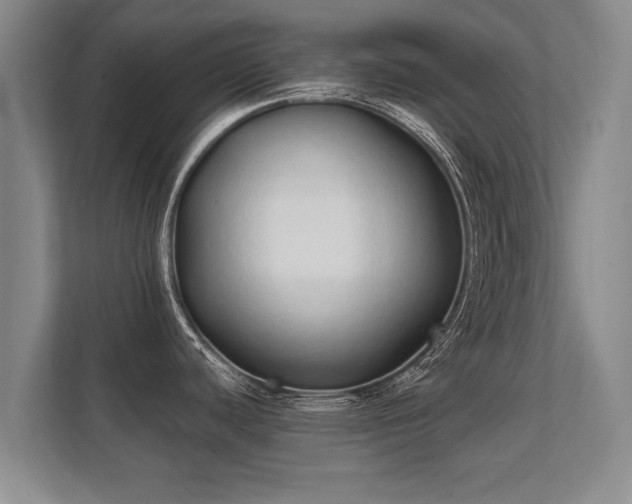 X0000112181440200908141317