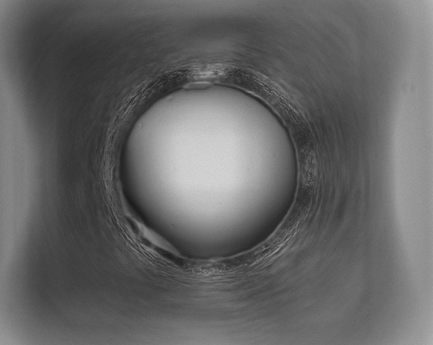 X0000112181441200908141316