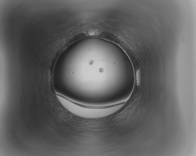 X0000112181443200908141316