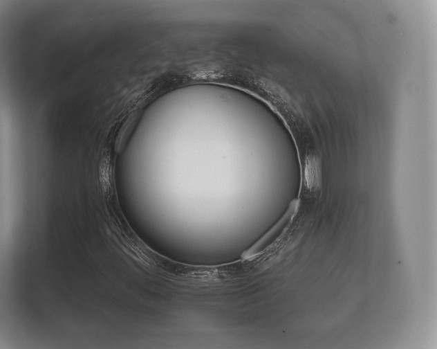 X0000112181444200908141316