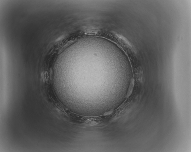 X0000112181445200908141316