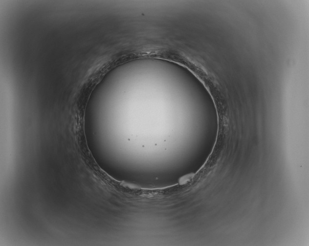 X0000112181447200908141316