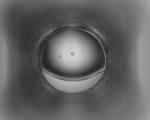 X0000112181448200908141316