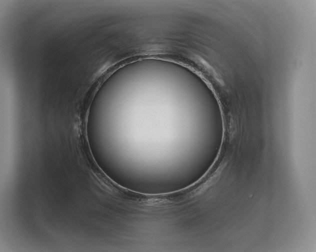 X0000112181449200908141316