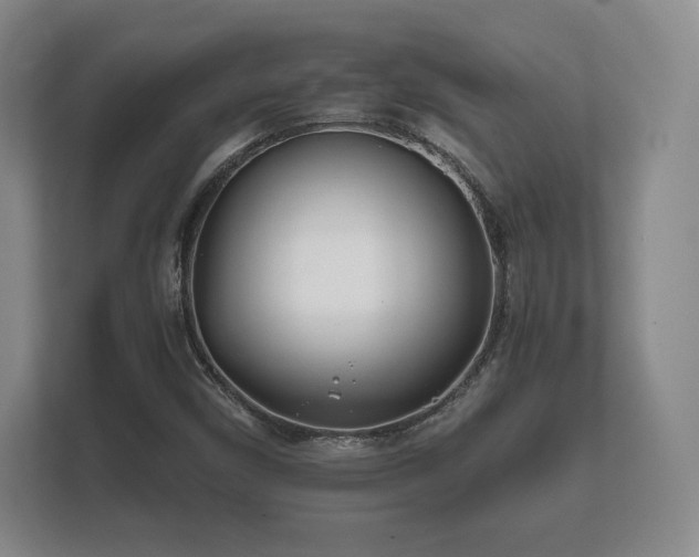 X0000112181450200908141316