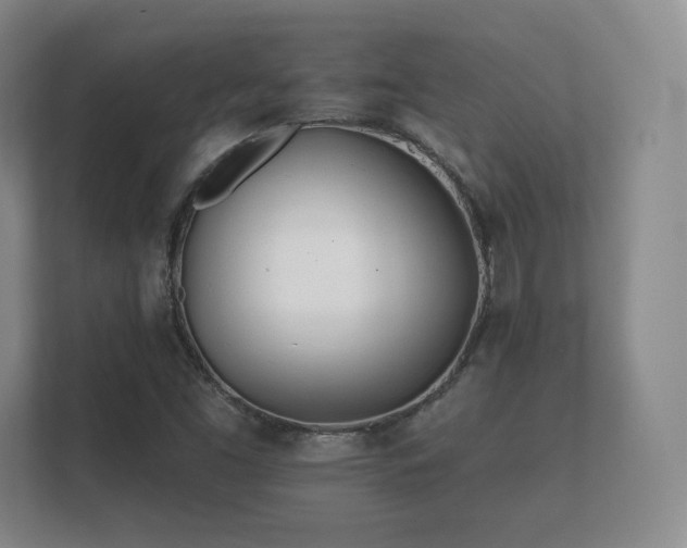 X0000112181453200908141316