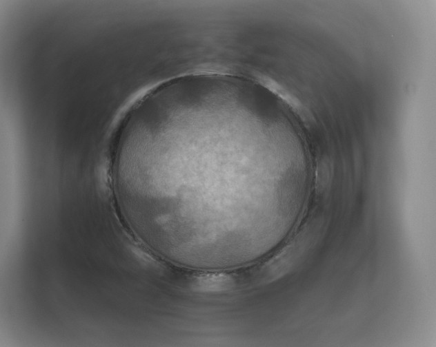 X0000112181454200908141316