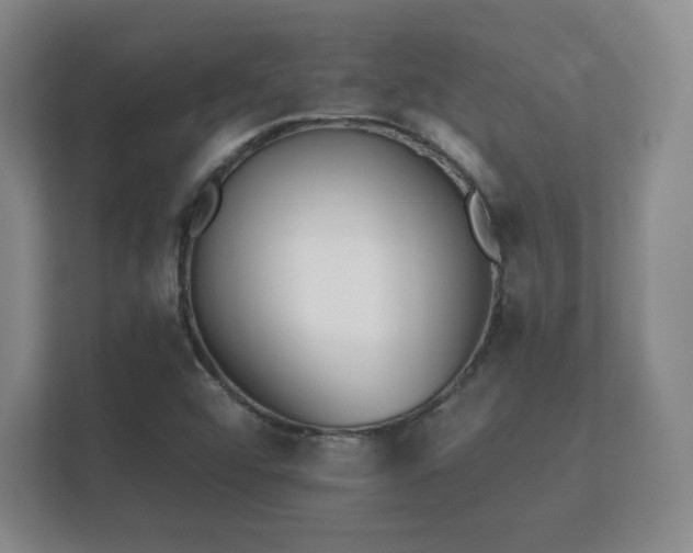 X0000112181456200908141316