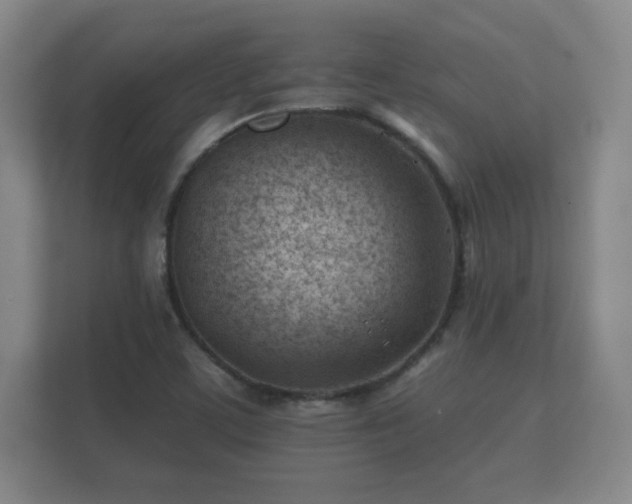 X0000112181459200908141316