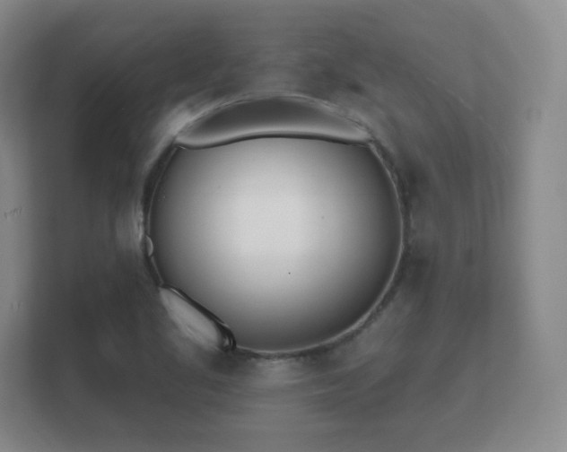 X0000112181461200908141316