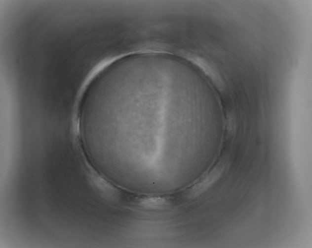 X0000112181462200908141316