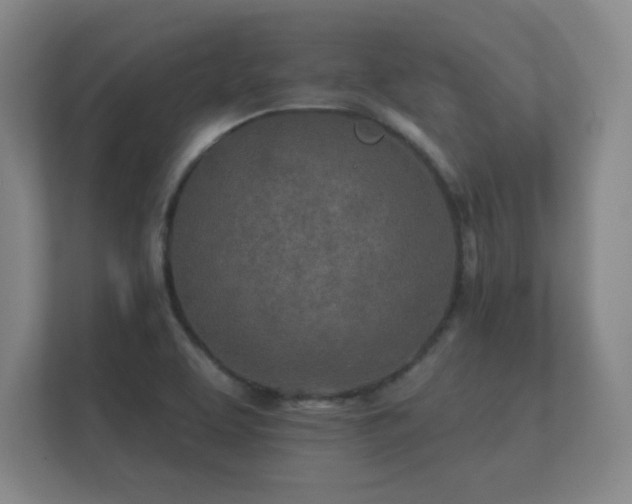 X0000112181463200908141316