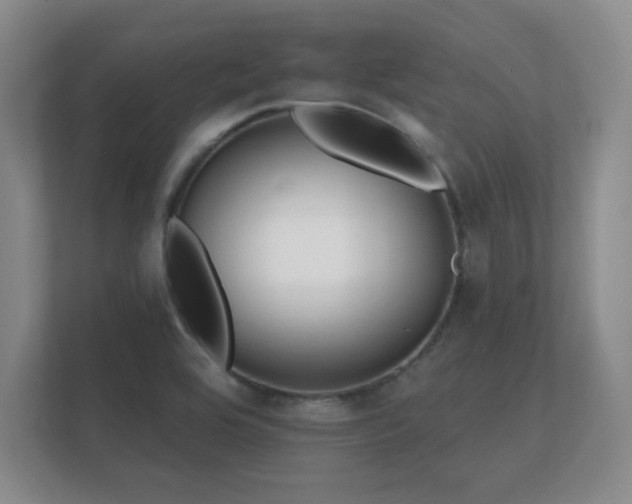 X0000112181464200908141316