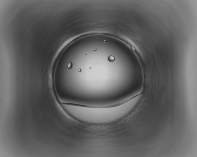 X0000112181468200908141316