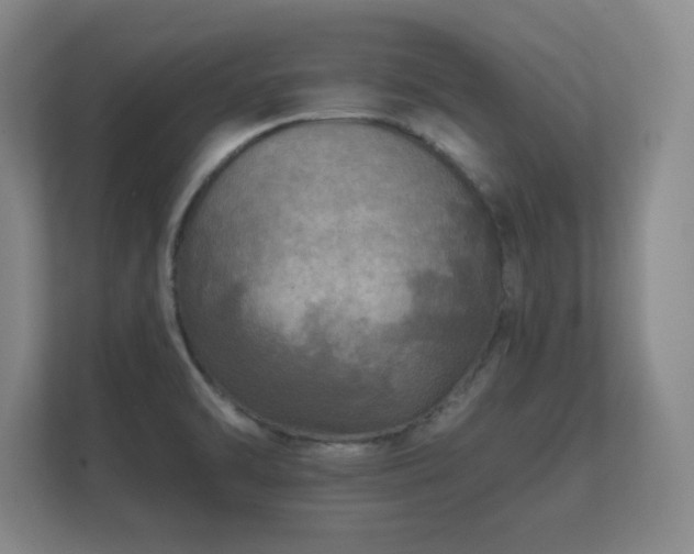 X0000112181470200908141316