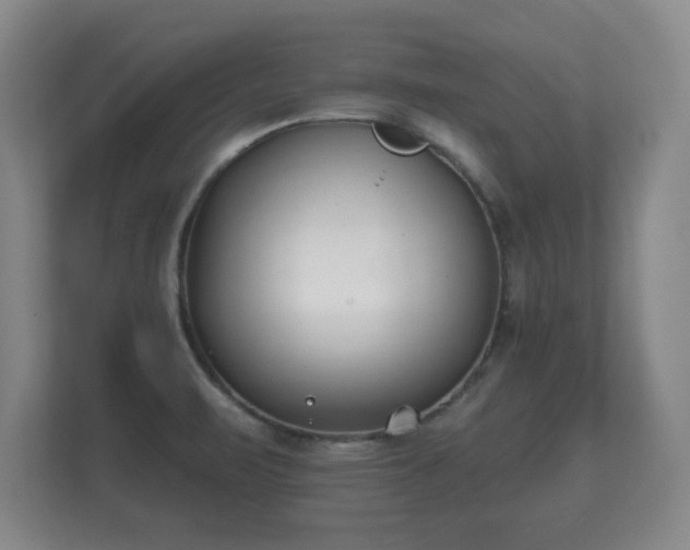 X0000112181471200908141316