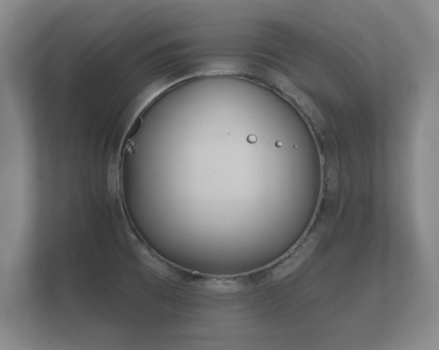 X0000112181473200908141316