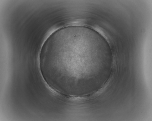 X0000112181474200908141316