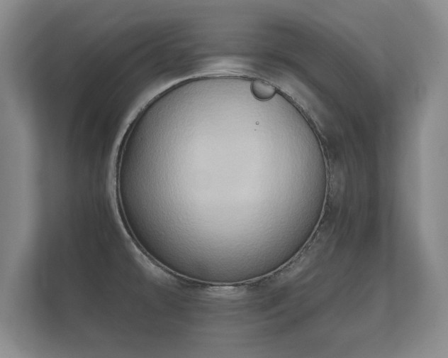 X0000112181478200908141316