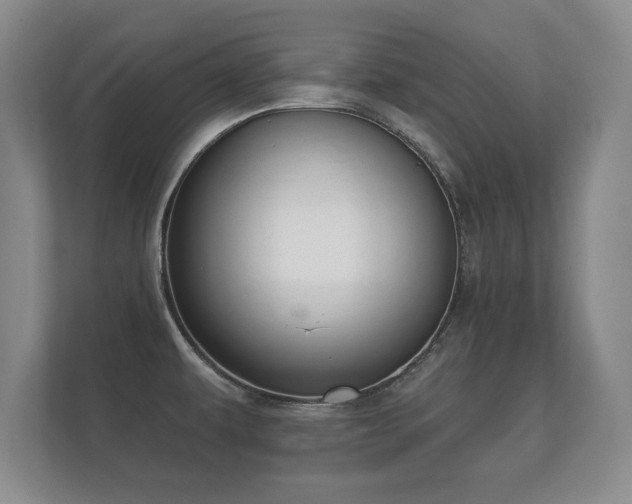 X0000112181479200908141316