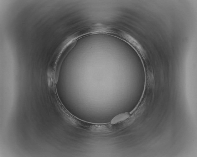 X0000112181481200908141316