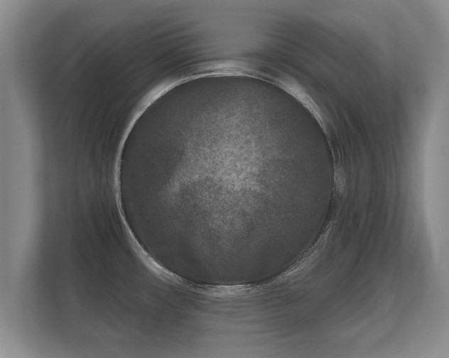 X0000112181482200908141316