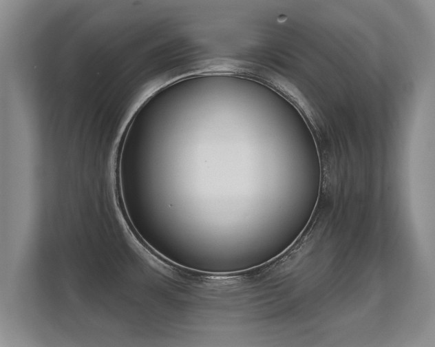 X0000112181483200908141316