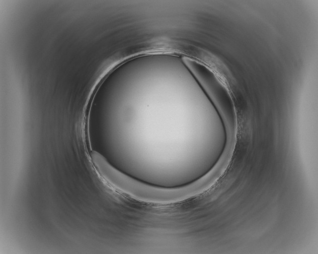 X0000112181484200908141316