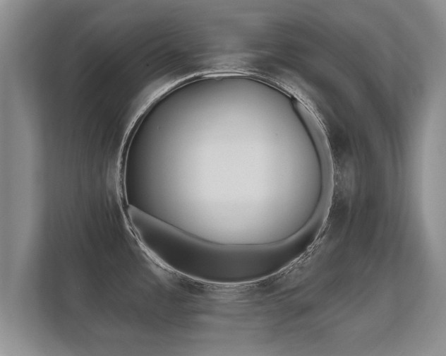 X0000112181485200908141316