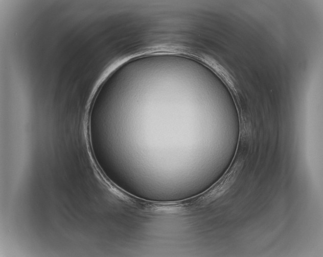 X0000112181486200908141316