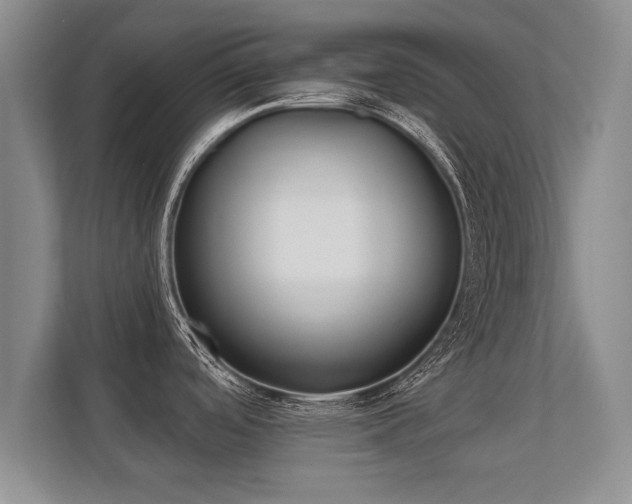 X0000112181488200908141316