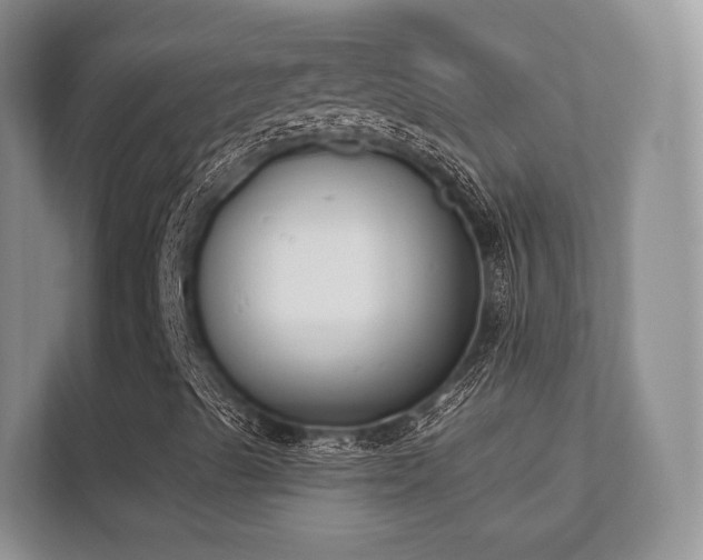 X0000112181489200908141315