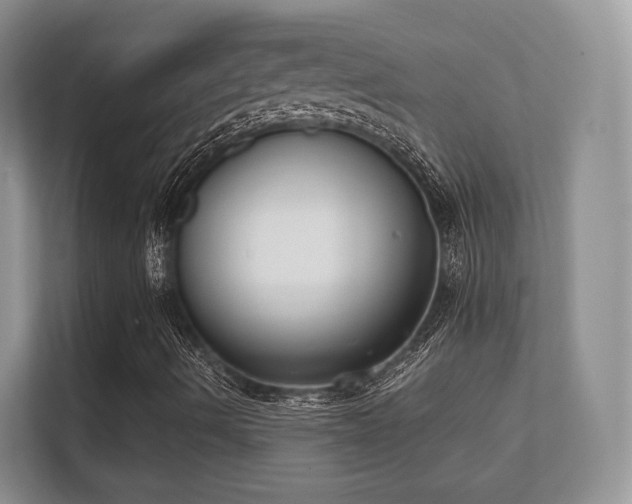 X0000112181490200908141315