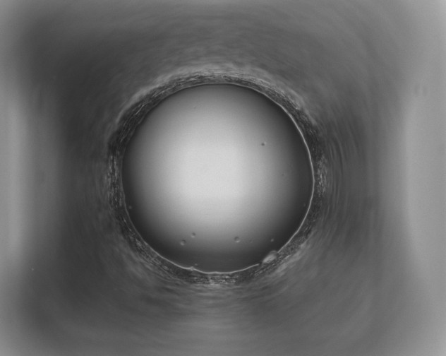 X0000112181494200908141315