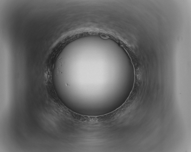 X0000112181495200908141315