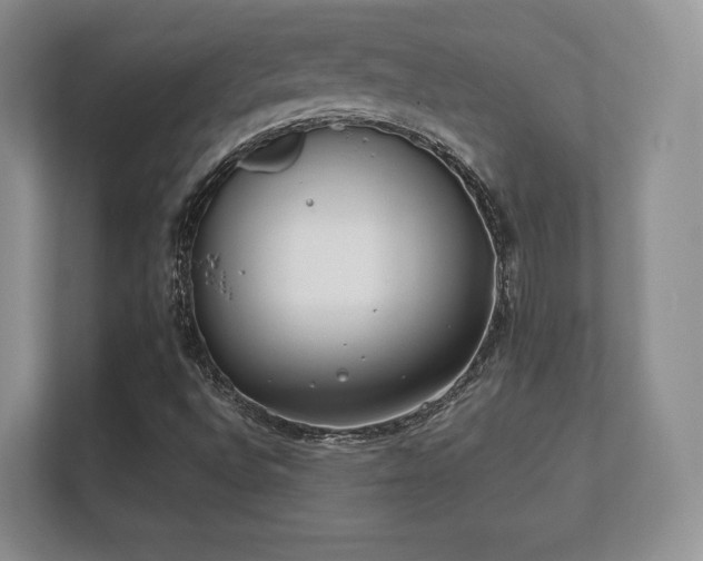 X0000112181496200908141315