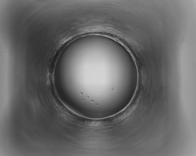 X0000112181497200908141315