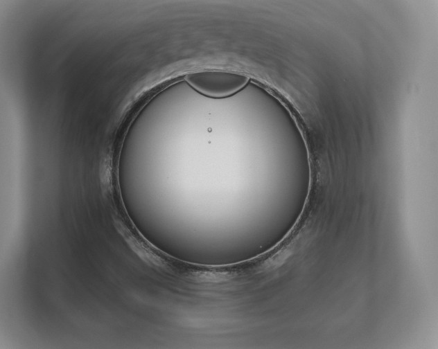 X0000112181499200908141315