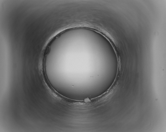 X0000112181500200908141315