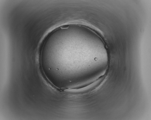 X0000112181506200908141315