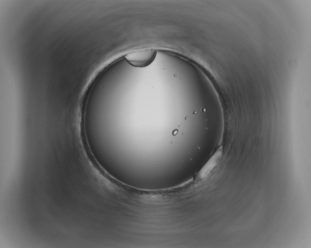 X0000112181508200908141315