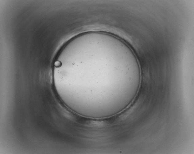 X0000112181509200908141315