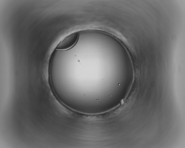 X0000112181512200908141315