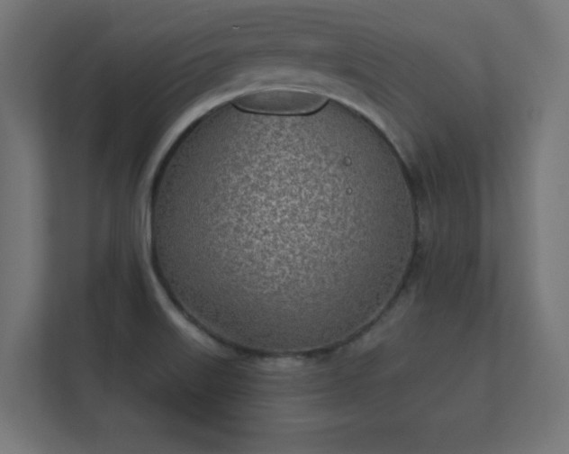 X0000112181515200908141315